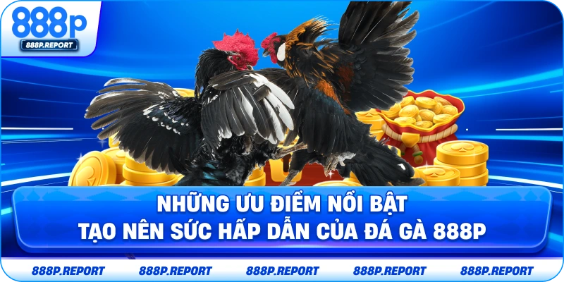 Những ưu điểm nổi bật tạo nên sức hấp dẫn của đá gà 888P